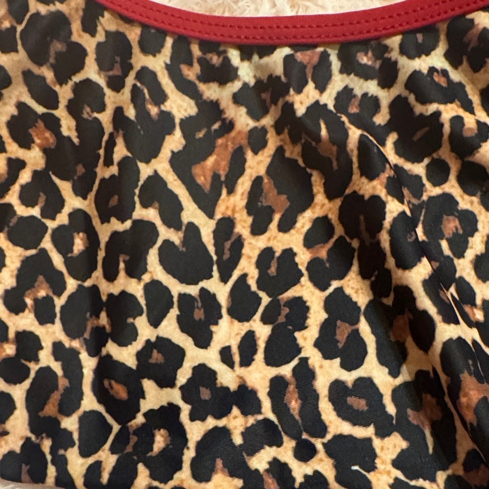 Leopard Print Bikini Set - Picture 4 of 5